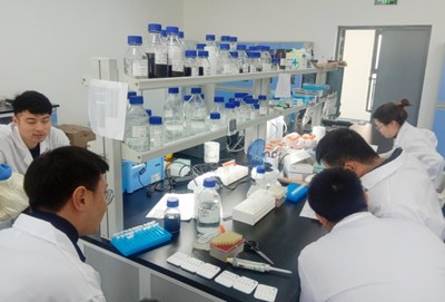 綿陽梓潼企業實現國際首創 10分鐘內可同步檢測5種呼吸道病原微生物抗原